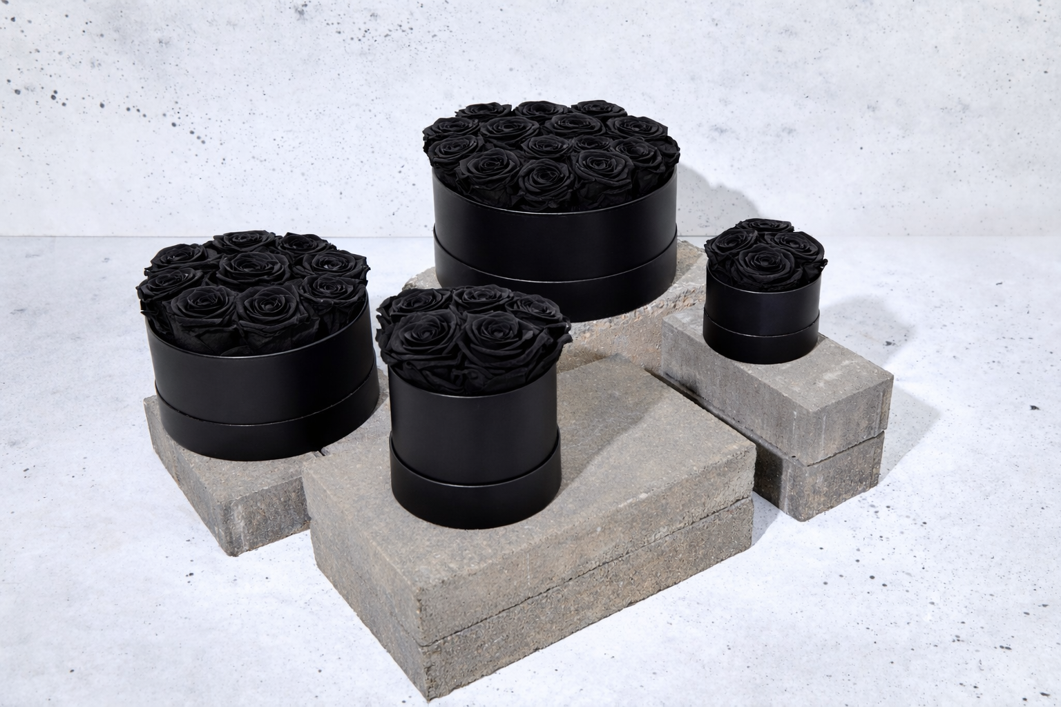 Black Roses | Preserved Roses | The Garden Room