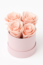 Load image into Gallery viewer, You&#39;re Making Me Blush
