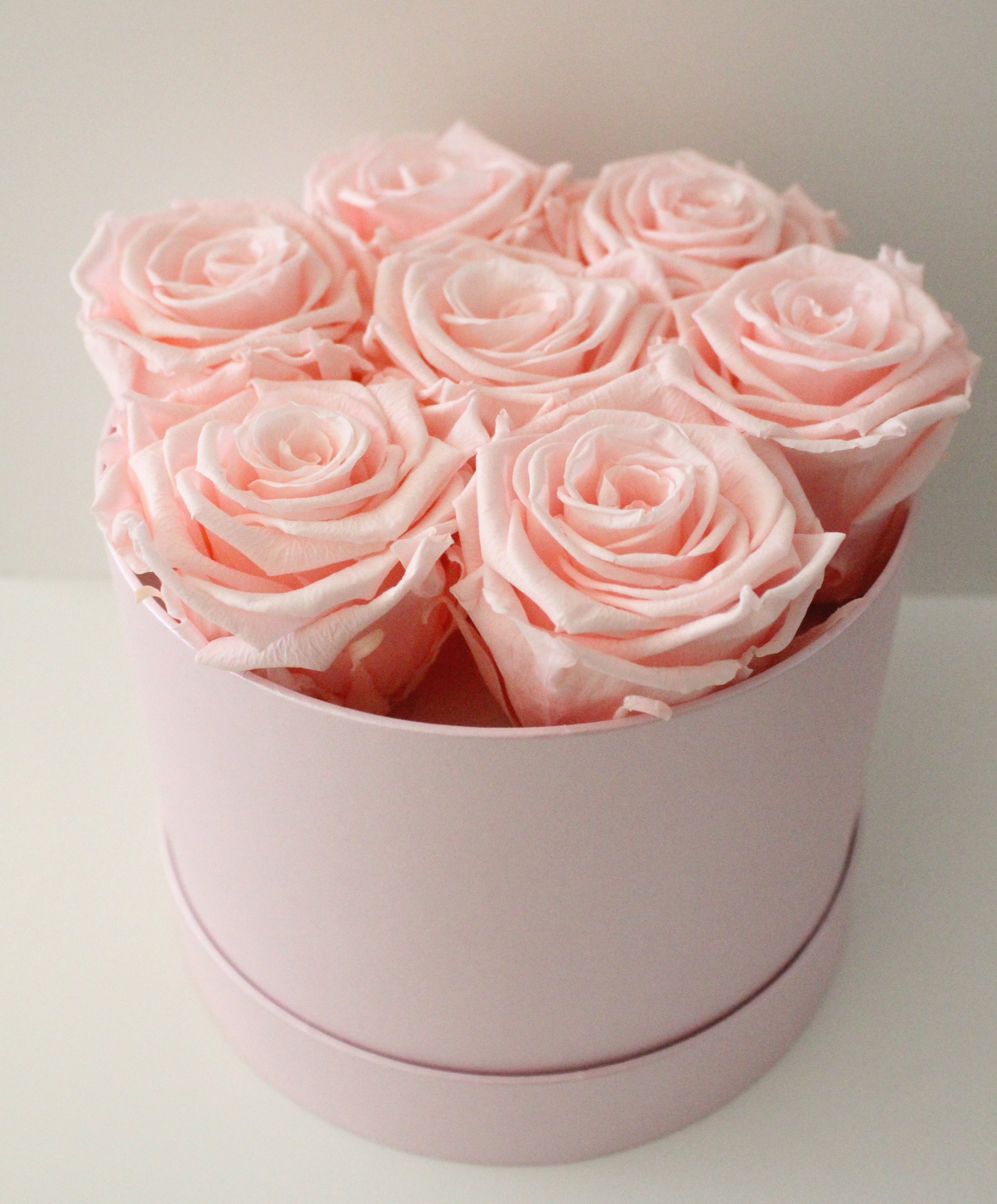 Pink Roses Gift
