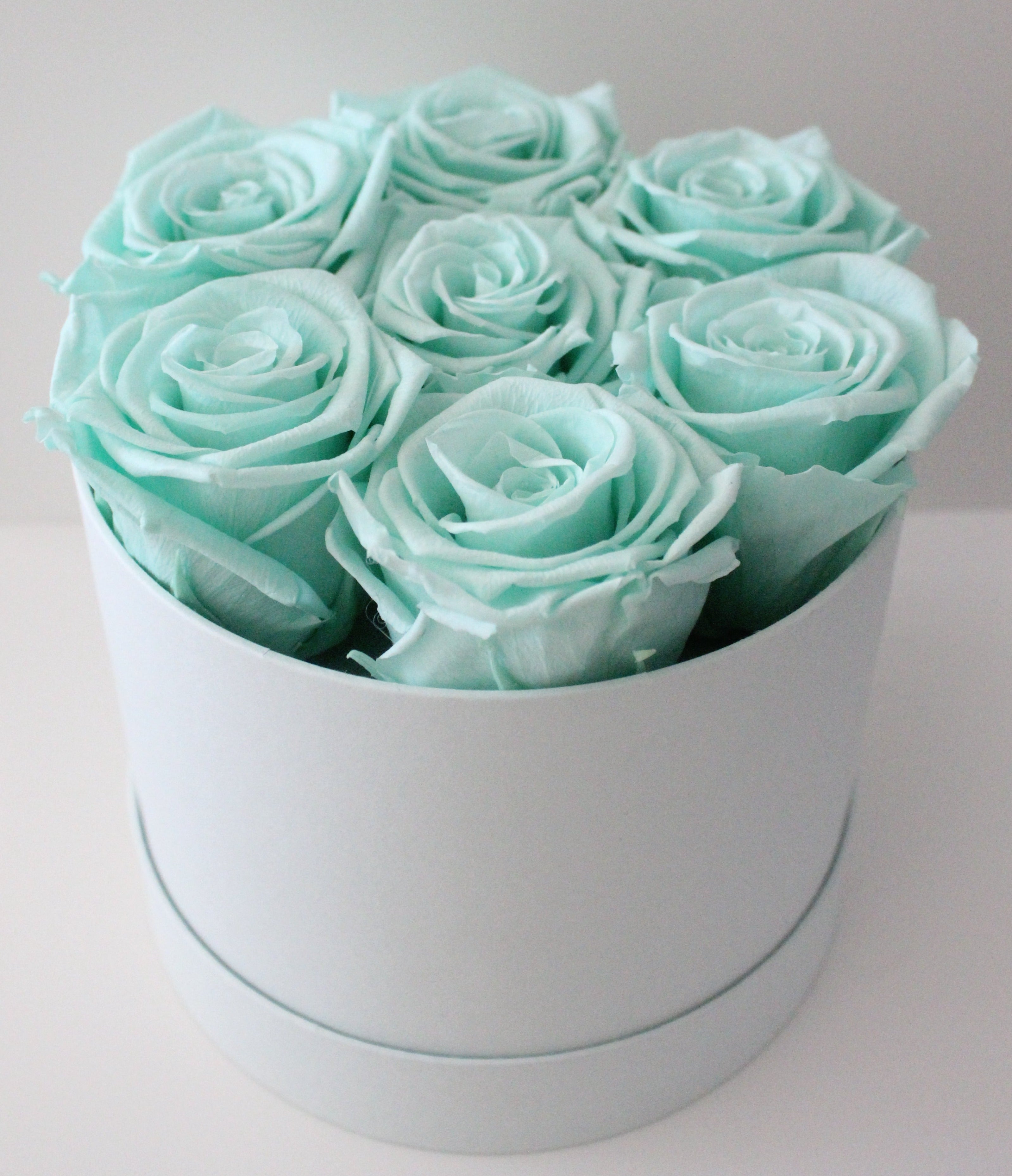 Monochrome - Hint of Mint