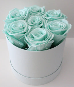 Monochrome - Hint of Mint