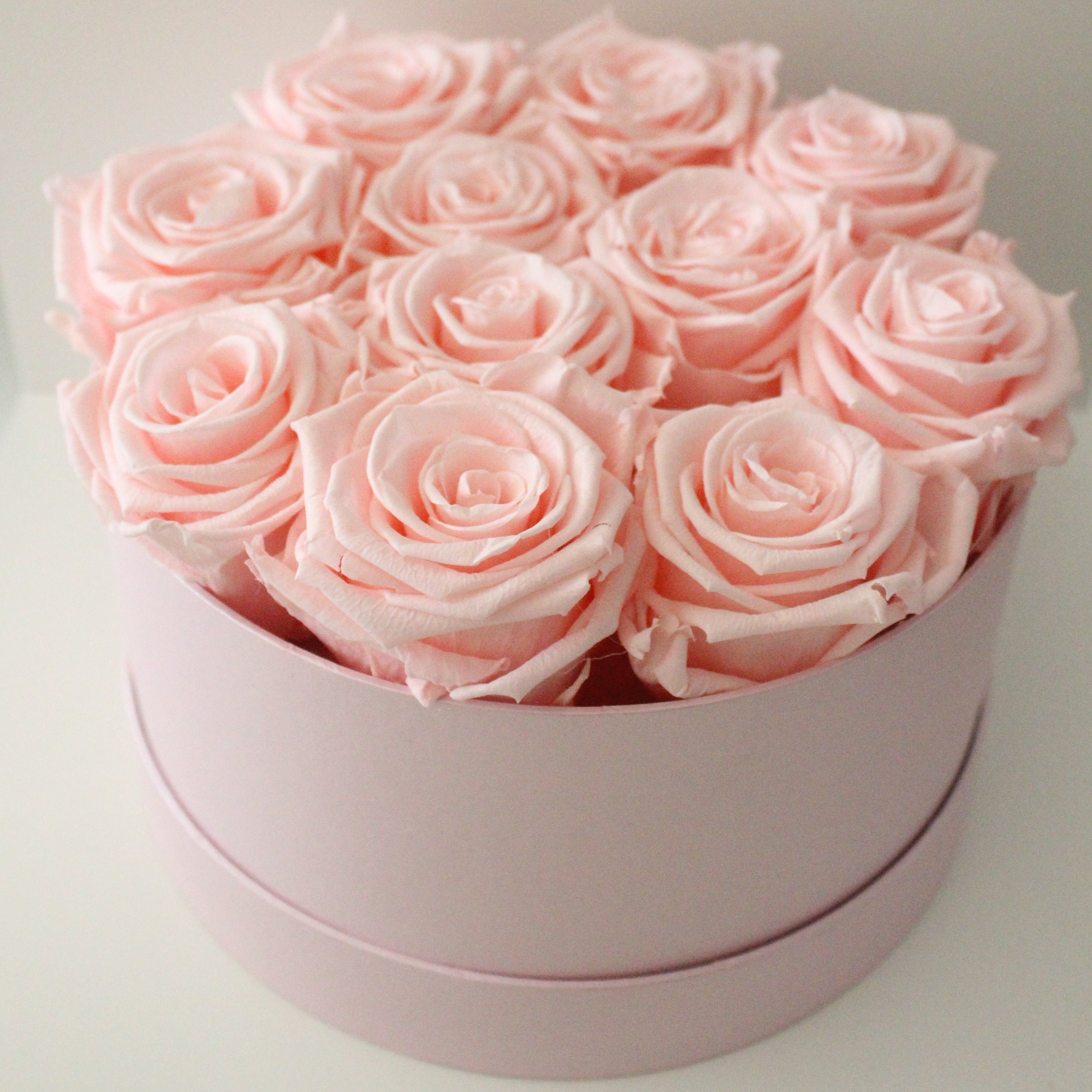 Pink Roses Gift