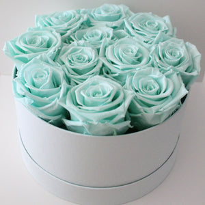 Monochrome - Hint of Mint