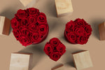 Load image into Gallery viewer, Preserved red roses in various sized round boxes, displayed on a neutral background.

