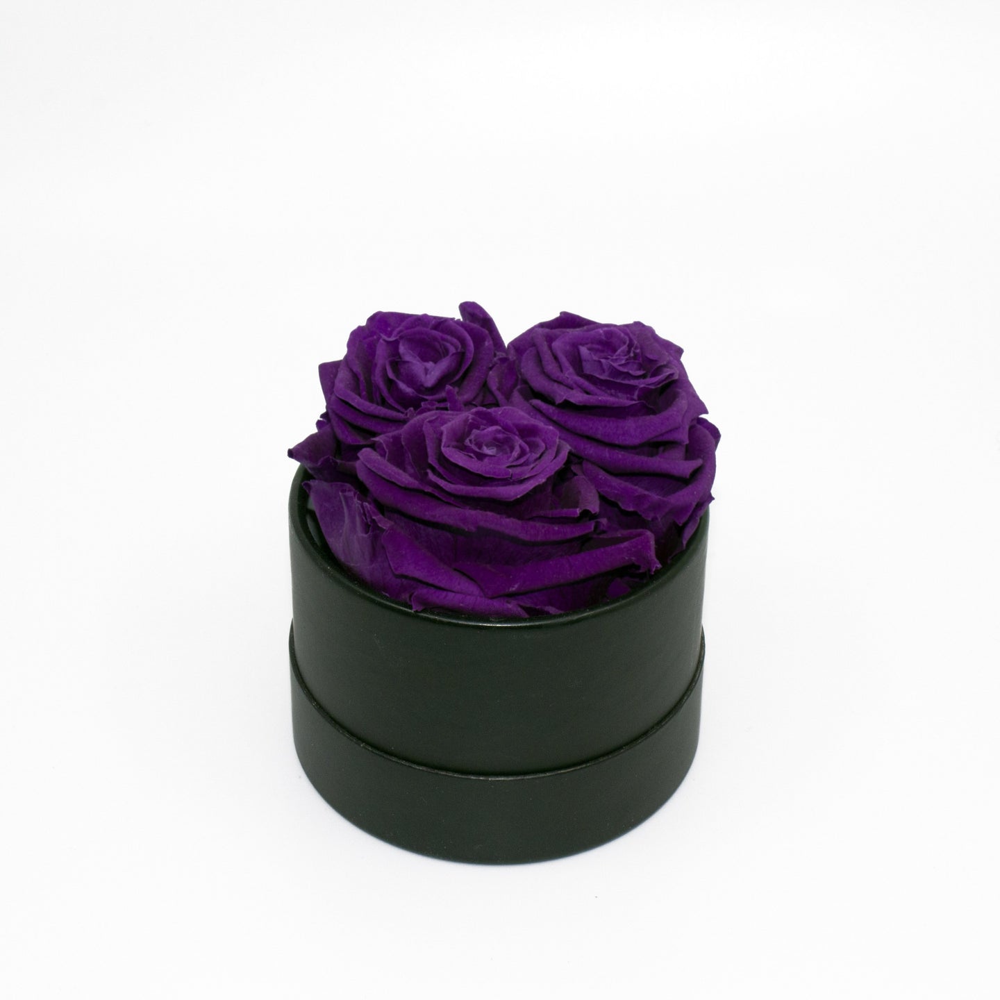 Purple Preserved Roses