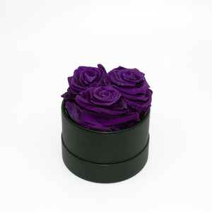 Purple Preserved Roses