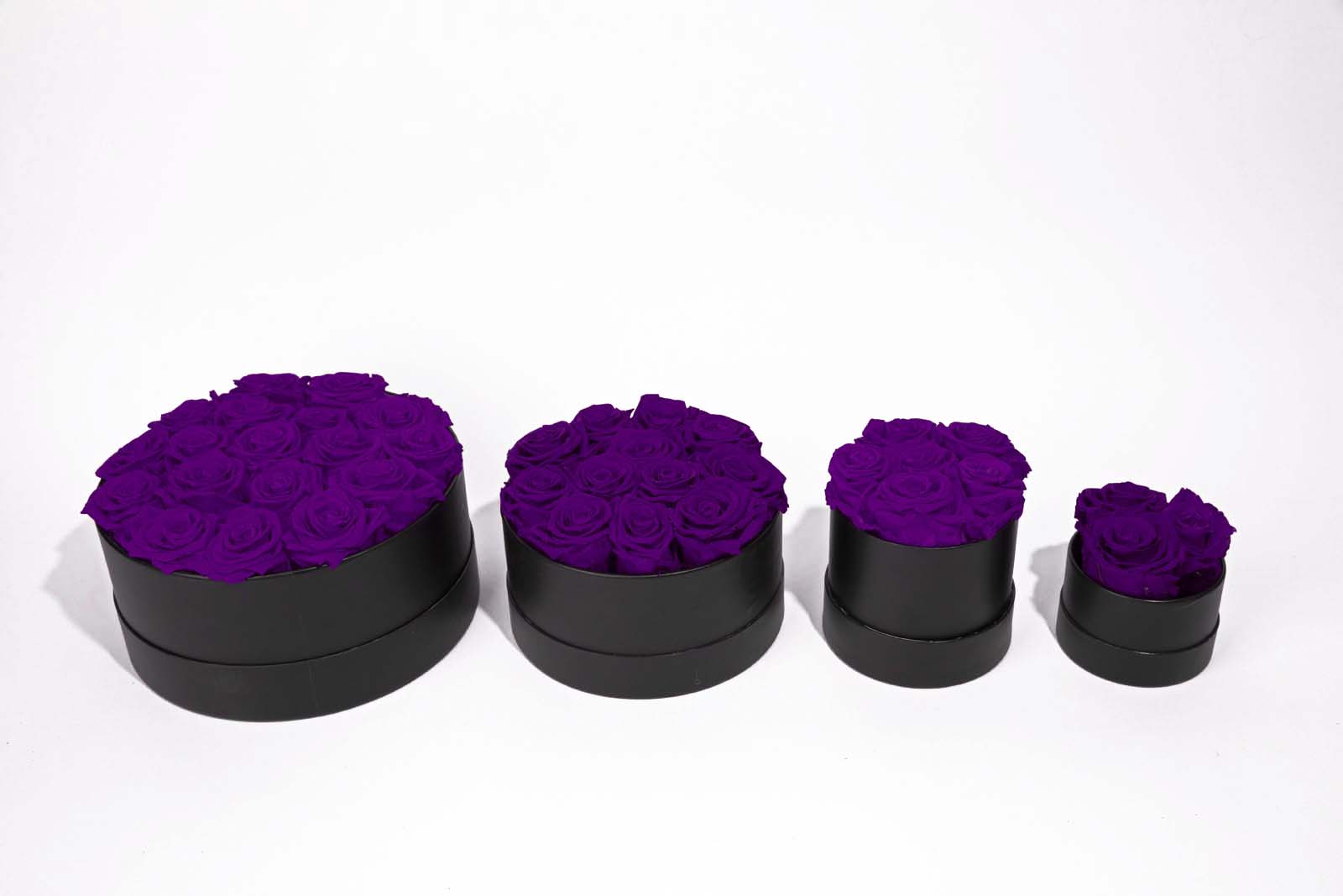 Purple Preserved Roses