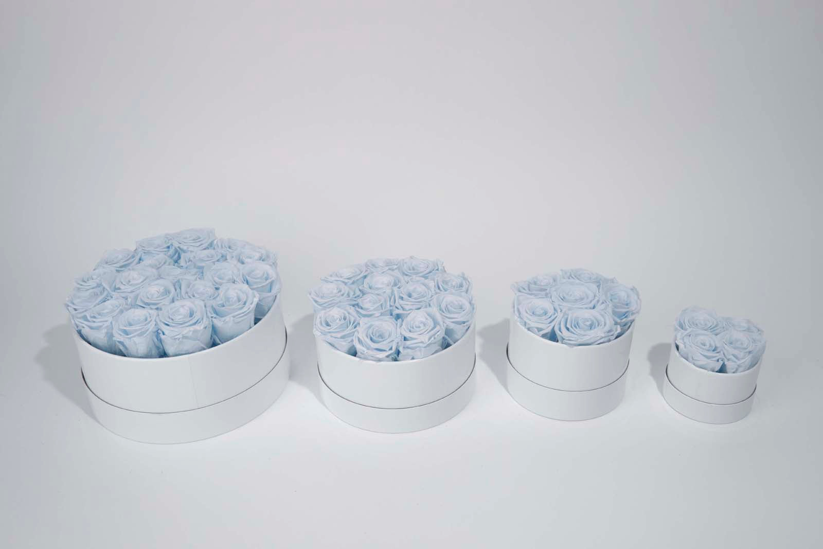 Baby blue roses in a white box