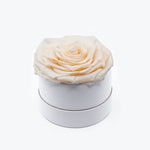 Load image into Gallery viewer, Cream Preserved Rose
