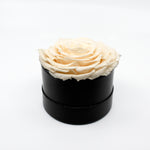 Load image into Gallery viewer, Cream Preserved Rose
