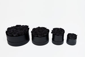 Black Roses