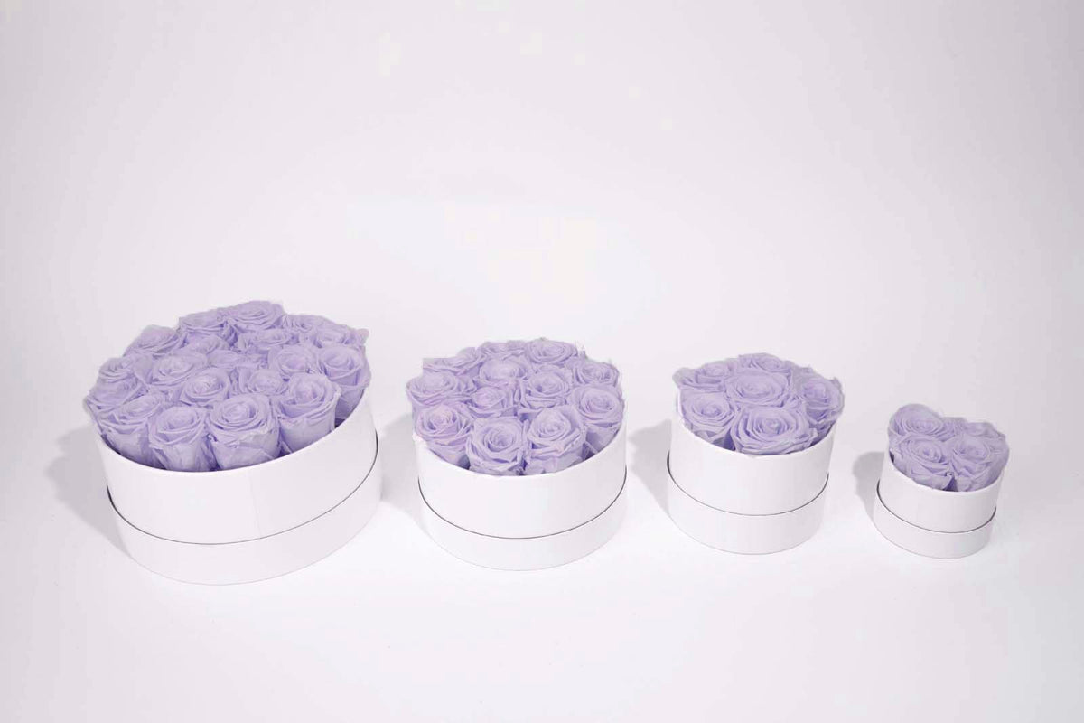 Lavender Long Lasting Roses | Preserved Roses | The Garden Room