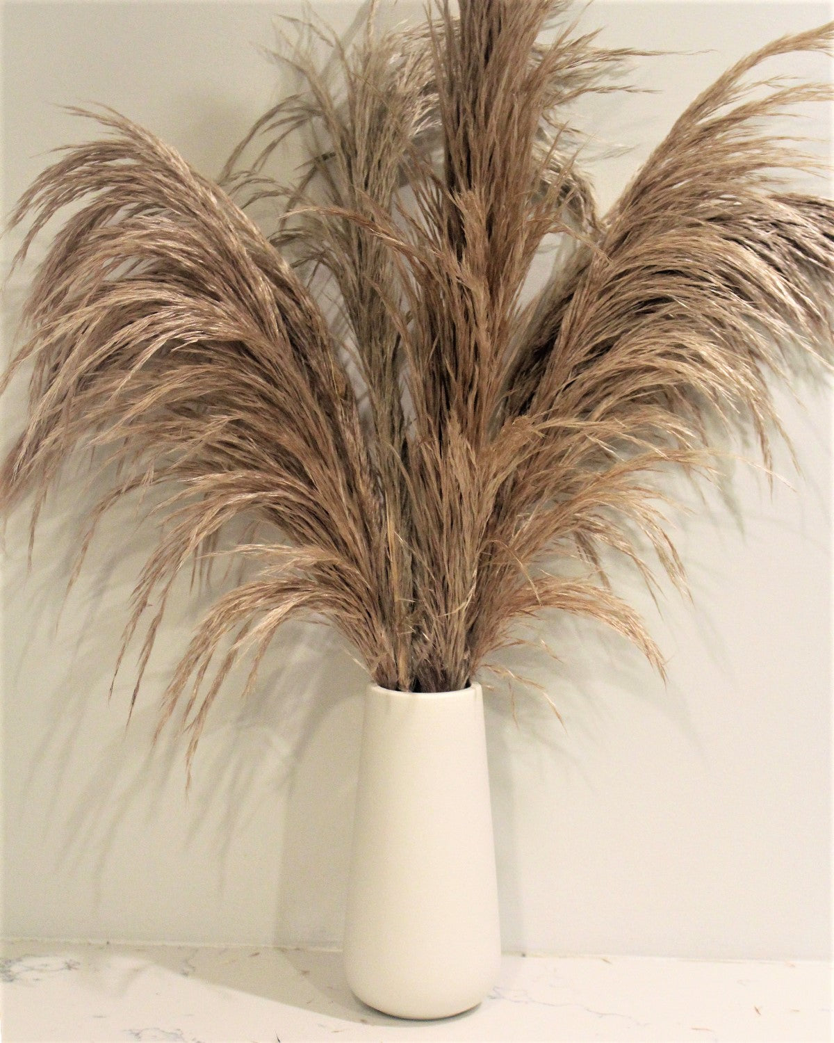 Dried Pampas Grass