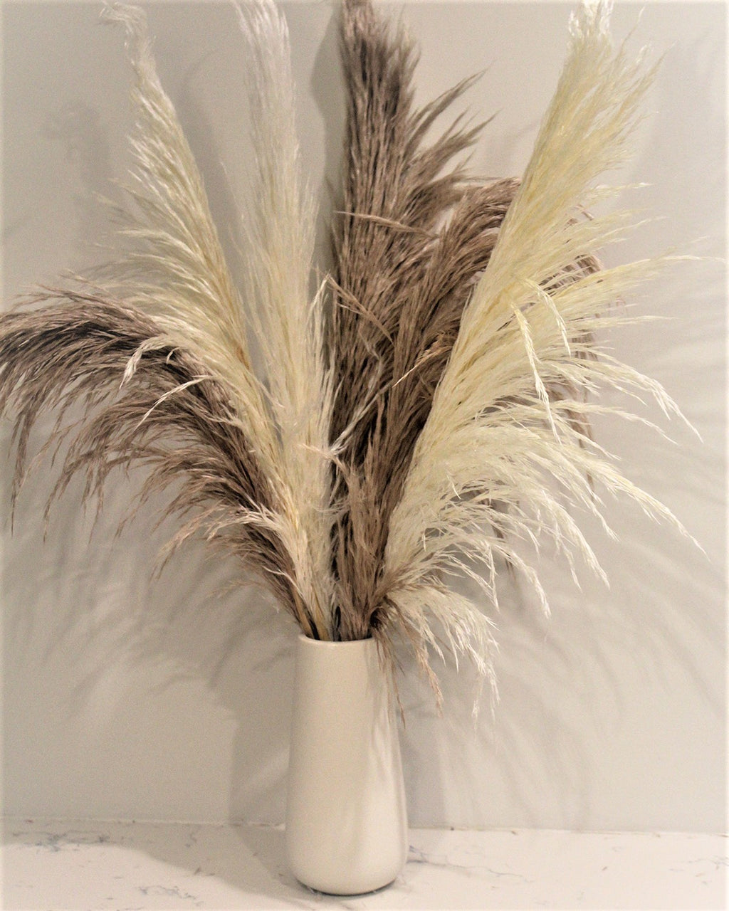 Pampas Grass