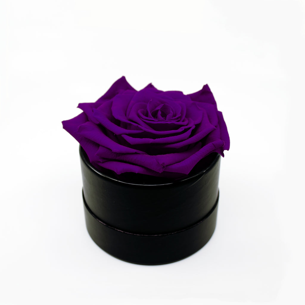 Purple Preserved Rose