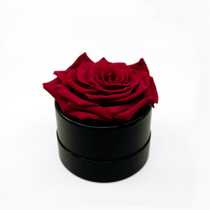 Red Preserved Rose
