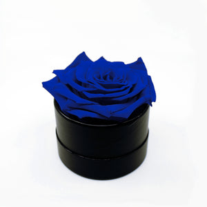 Rose in a Box