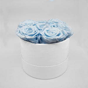 Light blue roses in a white box