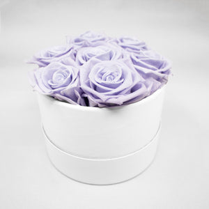 Lavender Roses in a White Box