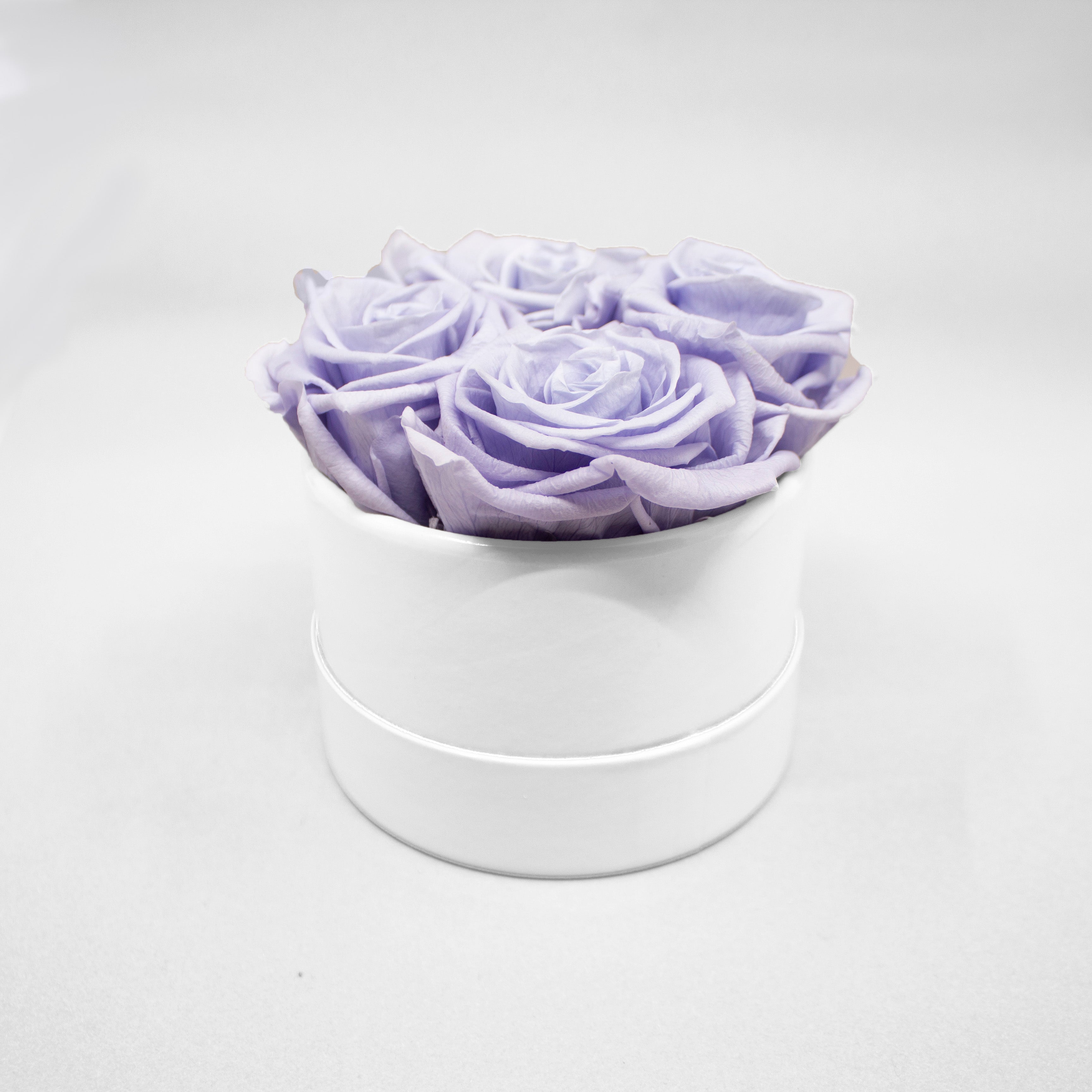 Lavender Roses in a White Box